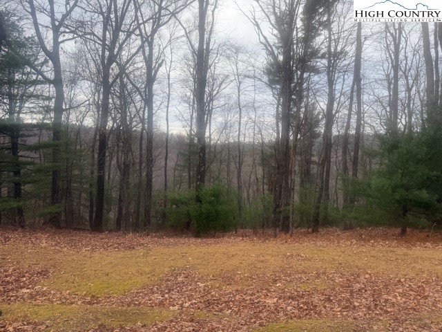 Jobs Road Millers Creek, NC 28651 - Photo 6 of 6 a backyard of a house with plants and trees