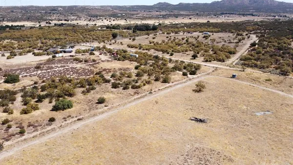 a view of ocean with large trees
