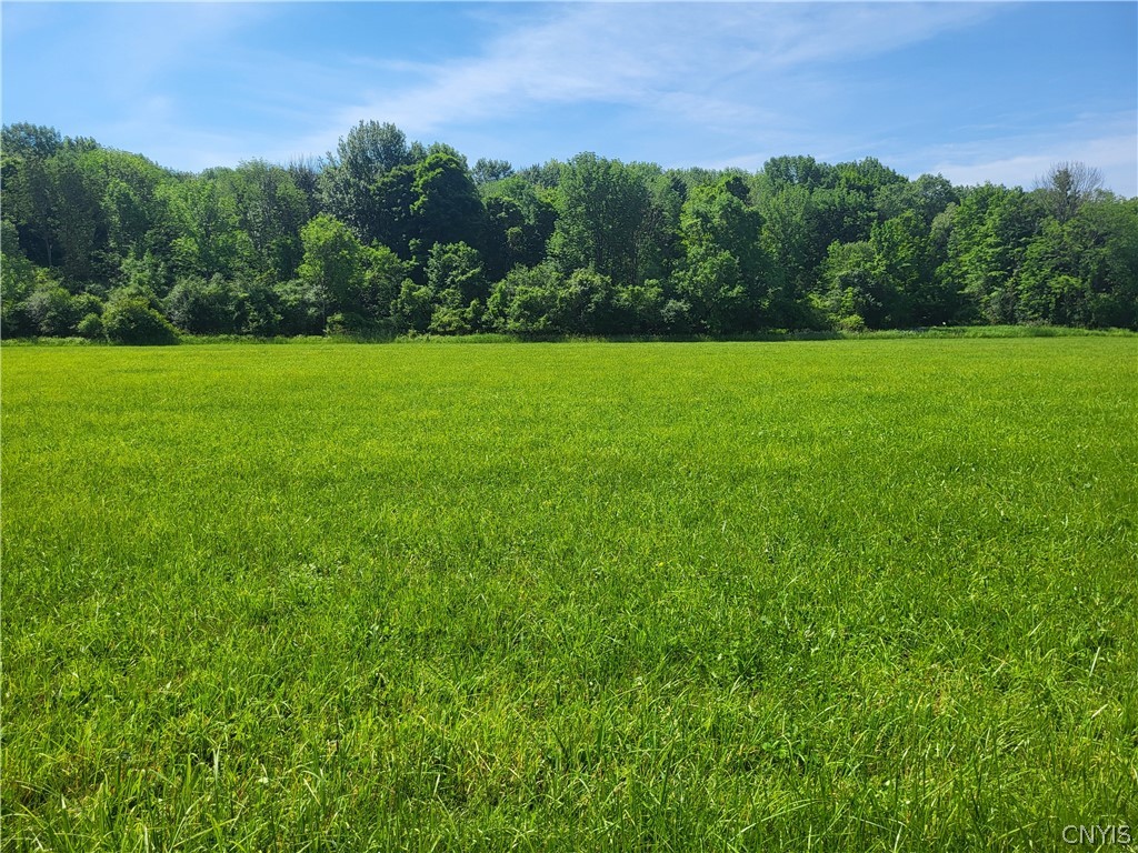 Lot 2 Co Route Watertown, NY 13601 - Photo 5 of 7 Gallery Image 5