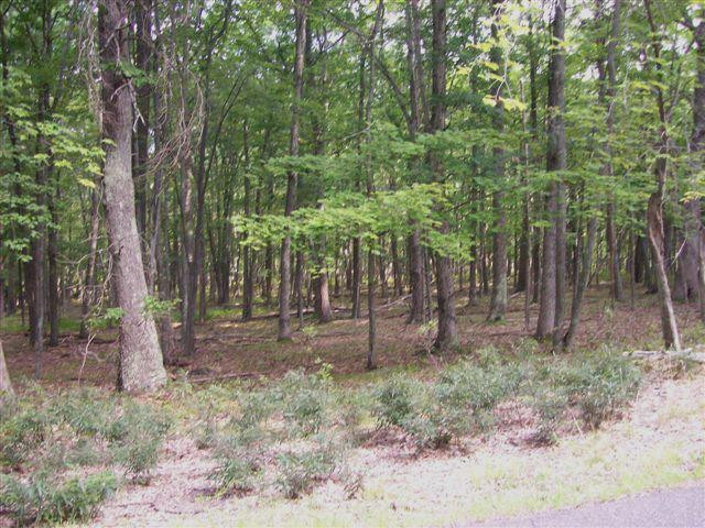 Lot 10 Chestnut Hill Road Shohola, PA 18458 - Photo 3 of 4