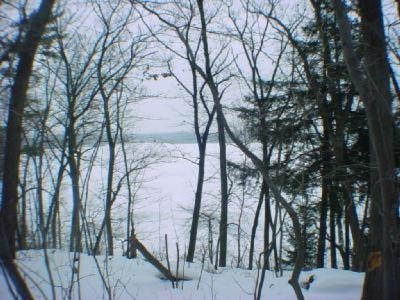 3793 Monroe Road Allegan, MI 49010 - Photo 7 of 9 Additional Photo