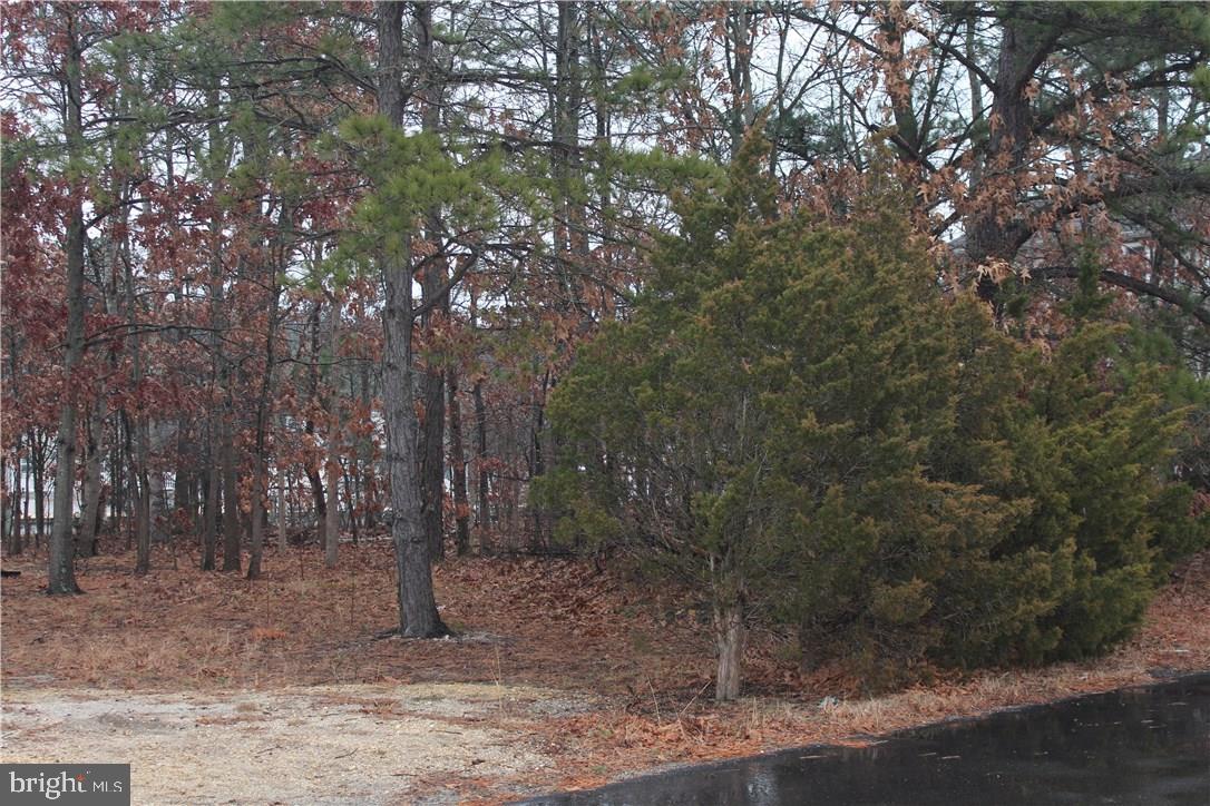 75 Cedar Run Road Bayville, NJ 08721 - Photo 2 of 6