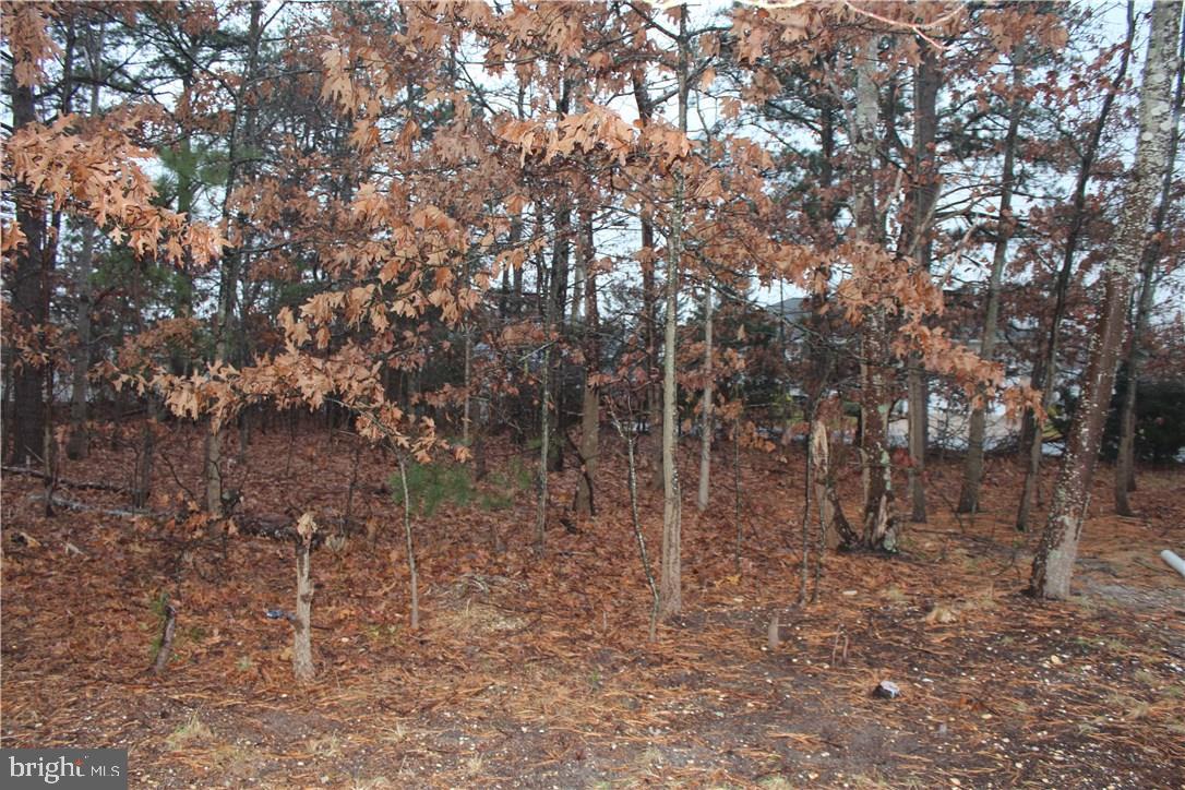 75 Cedar Run Road Bayville, NJ 08721 - Photo 3 of 6