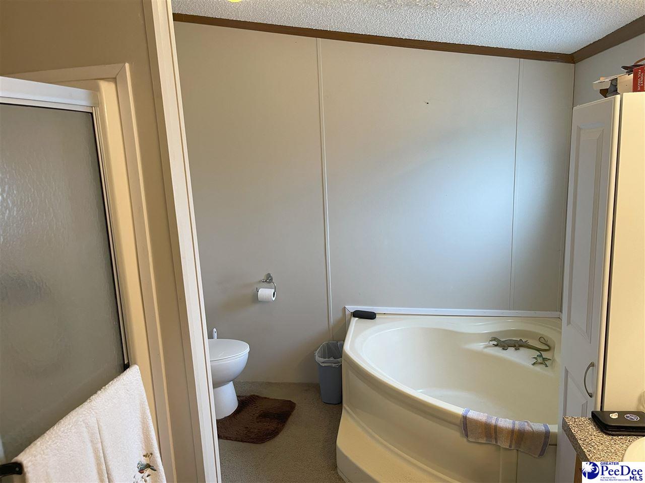 1815 Center Road Timmonsville, SC 29161 - Photo 27 of 28 Gallery Image 27