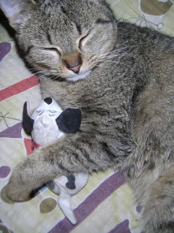 $1,852 | 53 Walker Street, Unit 2S, Manchester, NH 03102