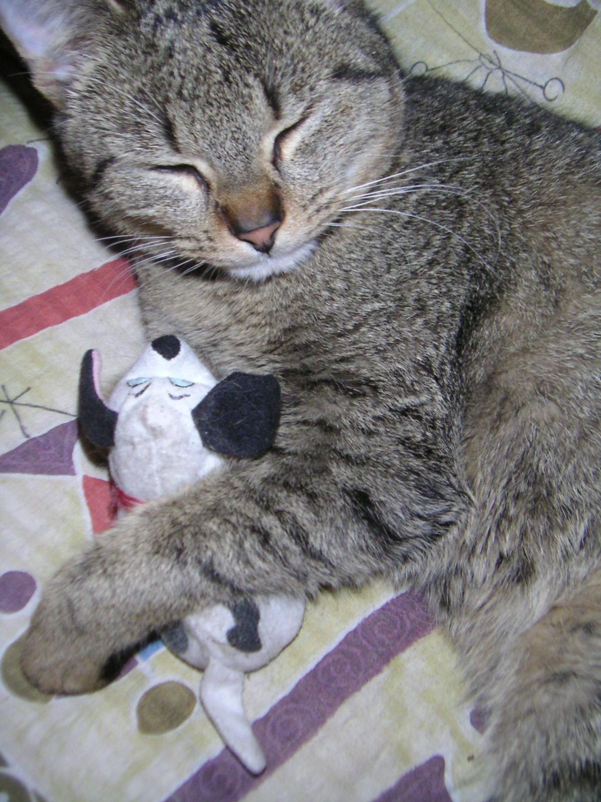 53 Walker Street, Unit 2S Manchester, NH 03102 - Photo 40 of 40