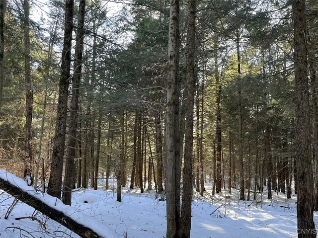 $400,000 | 41 Hogs Back Road, Hastings, NY 13076