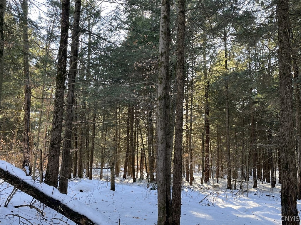 41 Hogs Back Road Hastings, NY 13076 - Photo 33 of 40