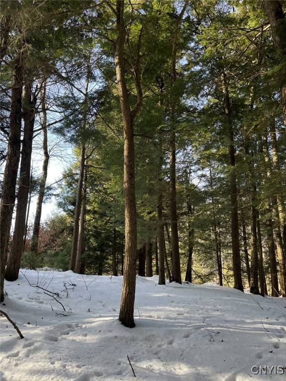 41 Hogs Back Road Hastings, NY 13076 - Photo 34 of 40