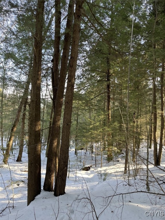 41 Hogs Back Road Hastings, NY 13076 - Photo 35 of 40