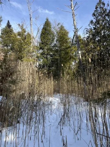 $400,000 | 41 Hogs Back Road, Hastings, NY 13076