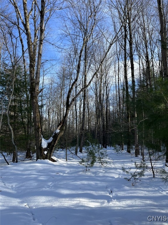 41 Hogs Back Road Hastings, NY 13076 - Photo 37 of 40