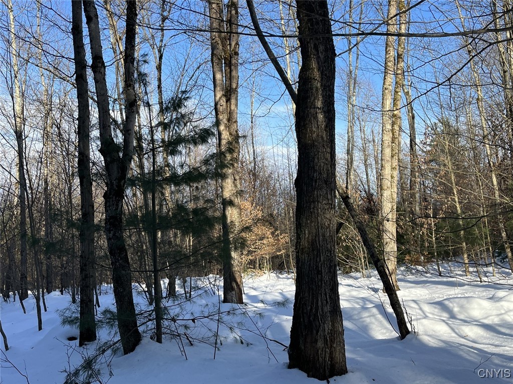 41 Hogs Back Road Hastings, NY 13076 - Photo 38 of 40