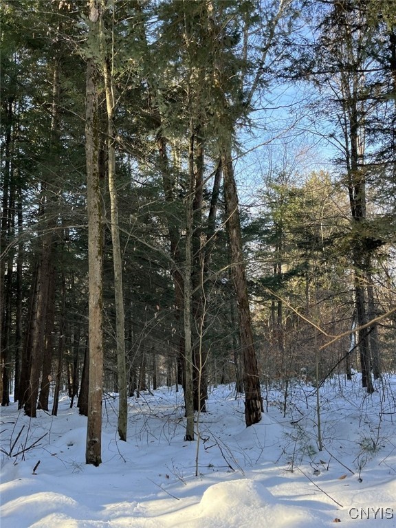 41 Hogs Back Road Hastings, NY 13076 - Photo 39 of 40