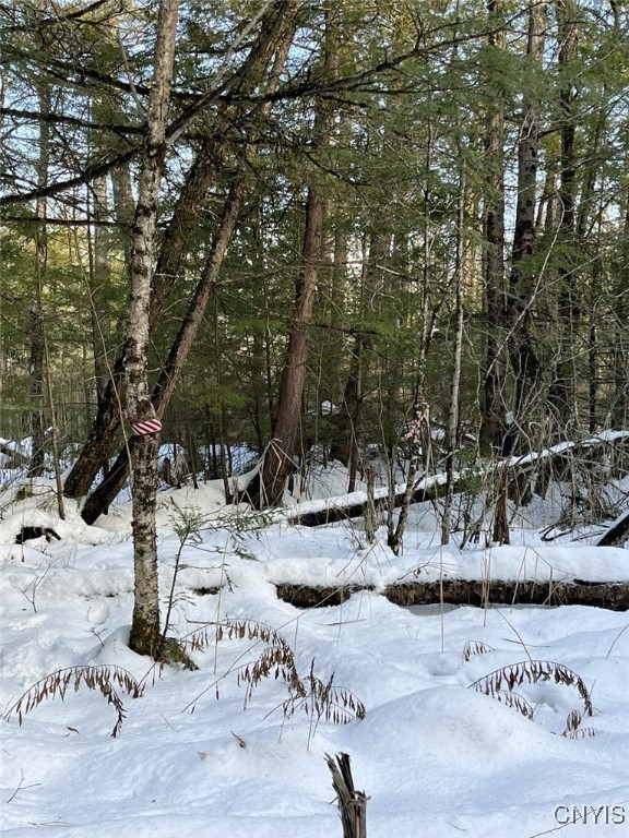 41 Hogs Back Road Hastings, NY 13076 - Photo 40 of 40