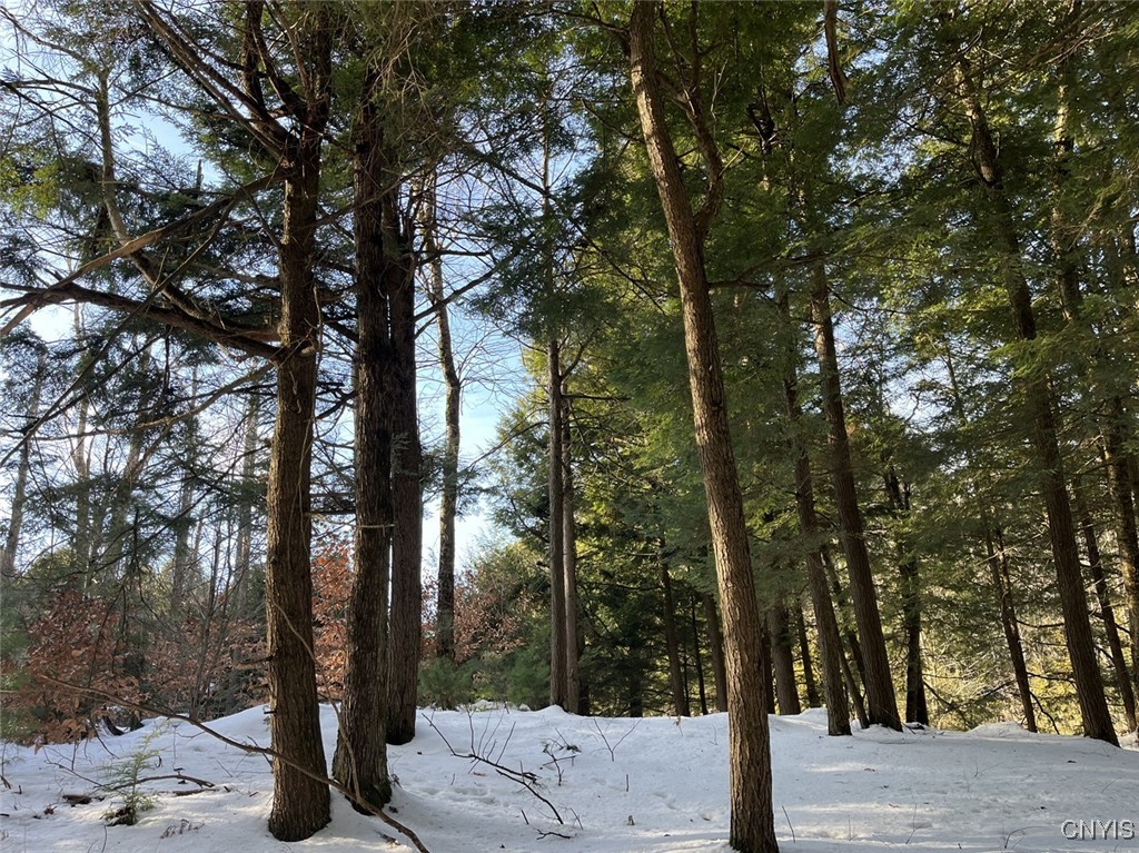 41 Hogs Back Road Hastings, NY 13076 - Photo 4 of 40