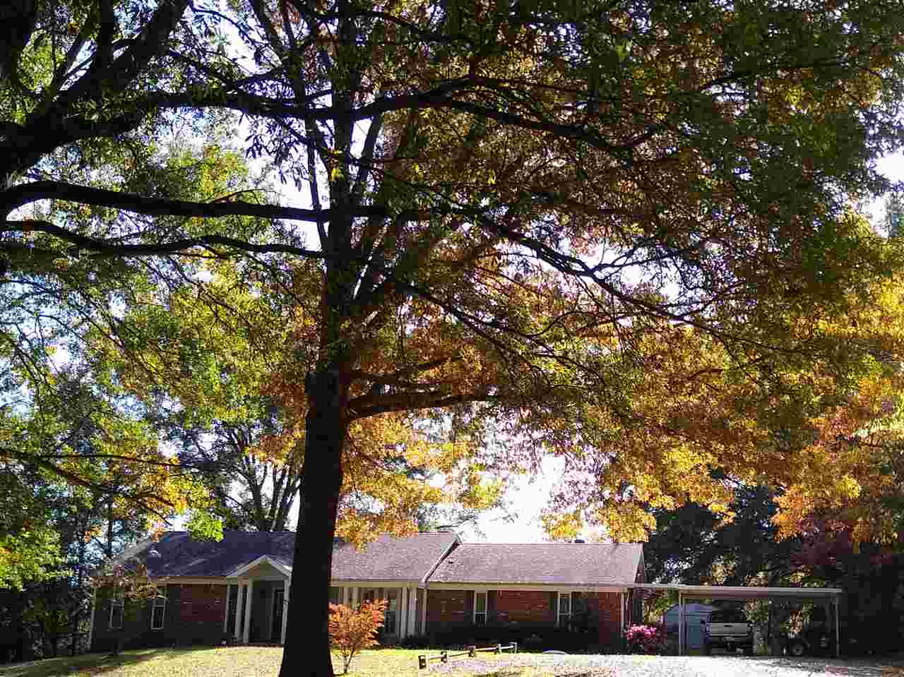 3805 Lucy Road Millington, TN 38053 - Photo 1 of 12 Gallery Image 1