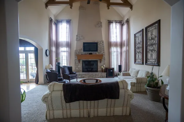 a living room with furniture fireplace and a potted plant