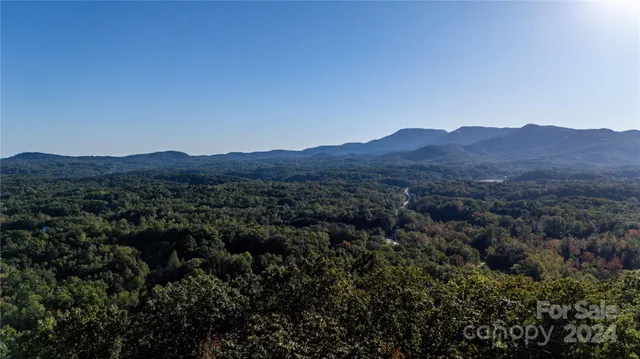 a view of a city with lush green forest