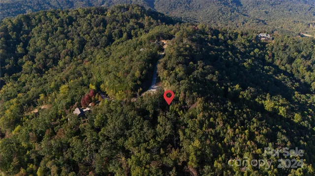 a view of a mountain range with lush green forest