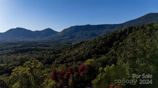 a view of a mountain range with lush green forest