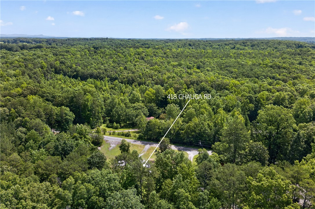 418 Chauga Road Westminster, SC 29693 - Photo 33 of 38 A verdant canopy blankets the vast acreage, offering unparalleled privacy and serene natural beauty.