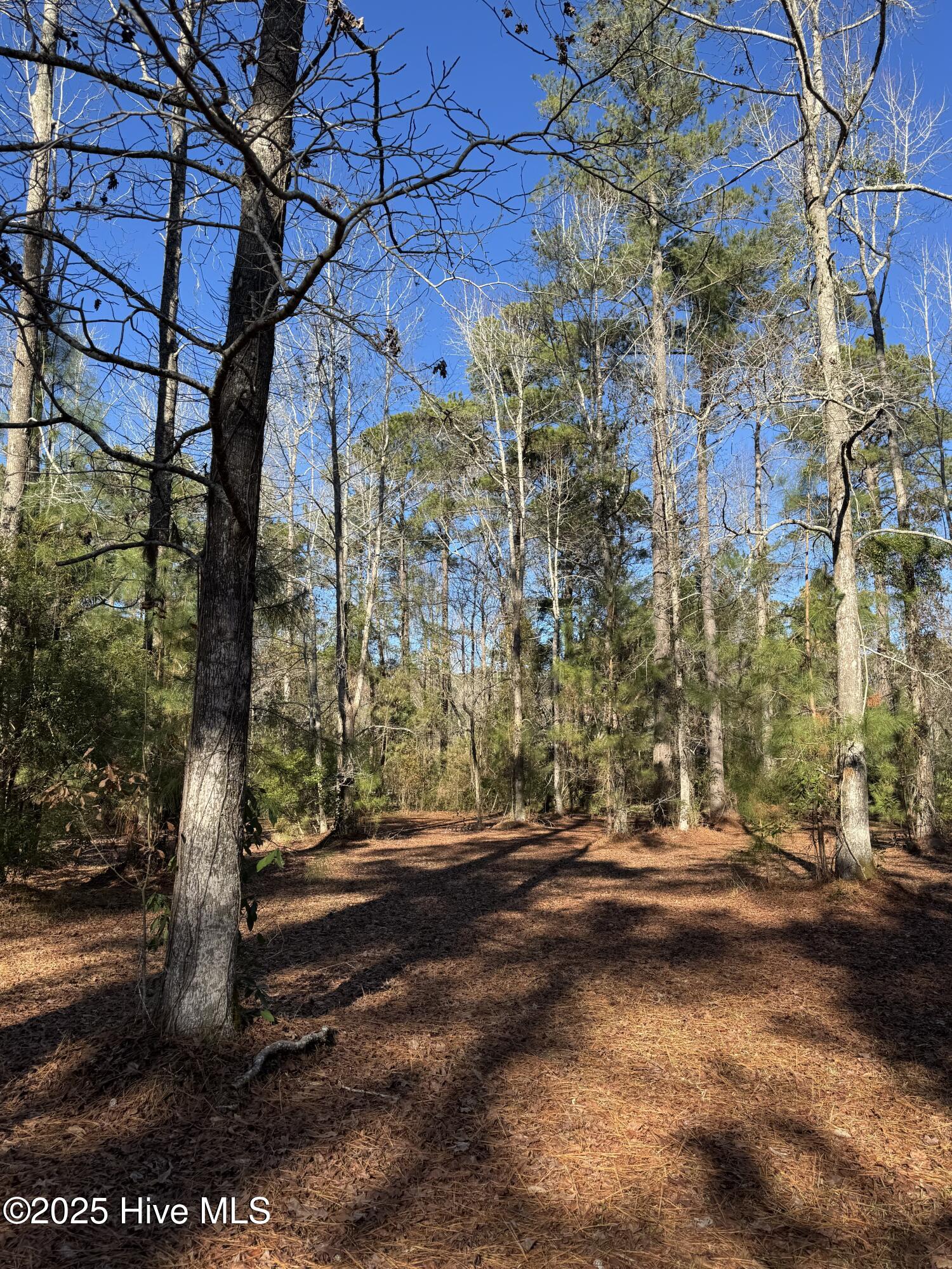 2880 Florence Road Merritt, NC 28556 - Photo 25 of 26 IMG_2683