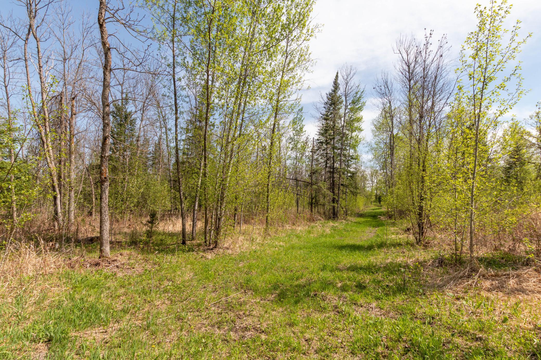 Tbd Tbd Stephani Road Northwest Puposky, MN 56667 - Photo 14 of 24