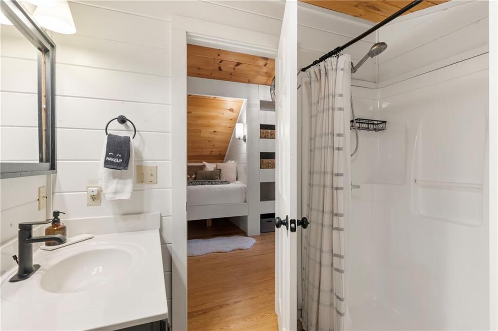 120 Brookhaven Trail Blue Ridge, GA 30513 - Photo 48 of 93 a en suite bathroom with a sink a mirror and shower