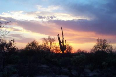 3425 West Lobo Road Tucson, AZ 85742 - Photo 2 of 4
