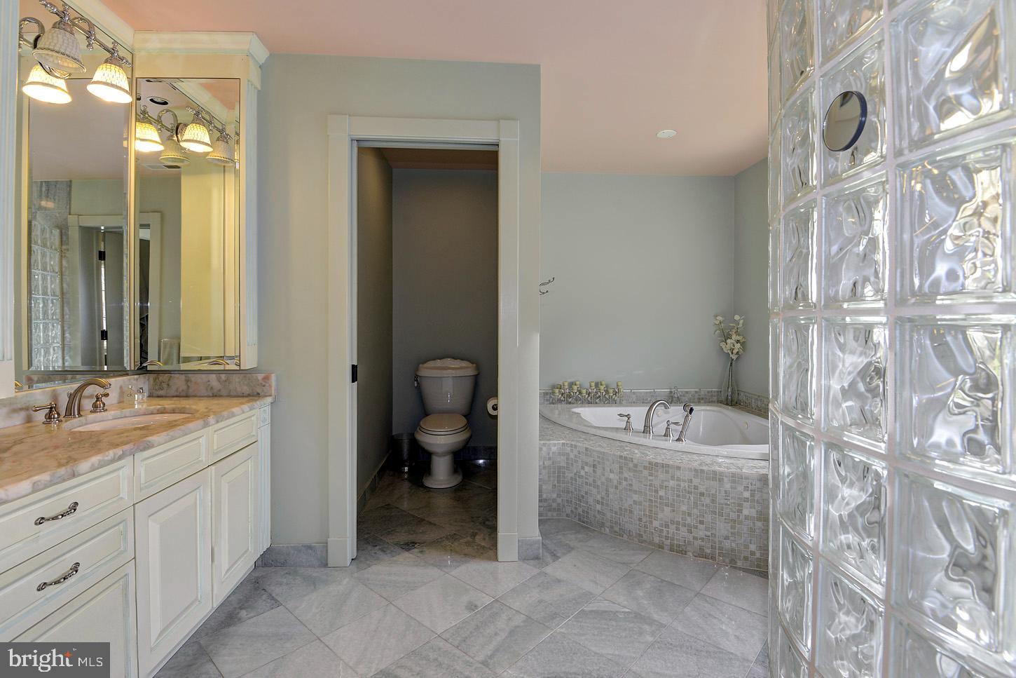 16704 Thurston Road Dickerson, MD 20842 - Photo 54 of 101 a spacious bathroom with a tub sink and mirror