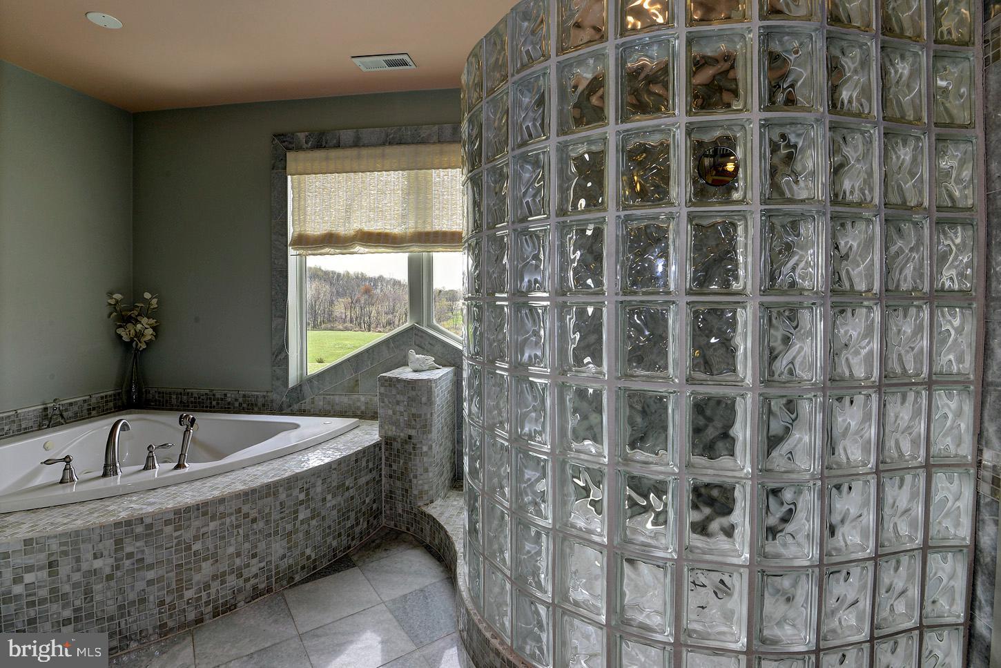 16704 Thurston Road Dickerson, MD 20842 - Photo 55 of 101 a bathroom with a bathtub and shower