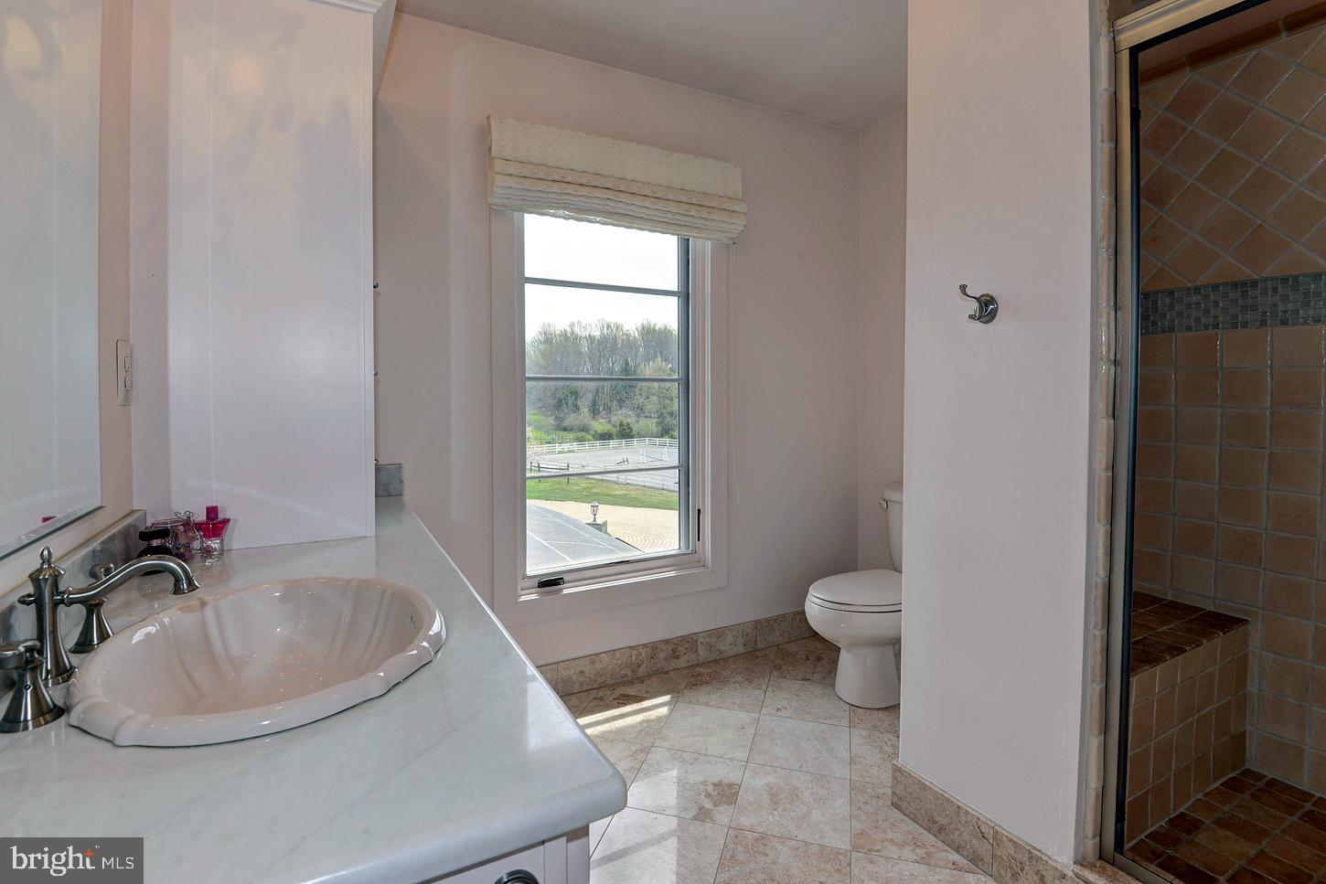 16704 Thurston Road Dickerson, MD 20842 - Photo 63 of 101 a bathroom with a sink and a toilet