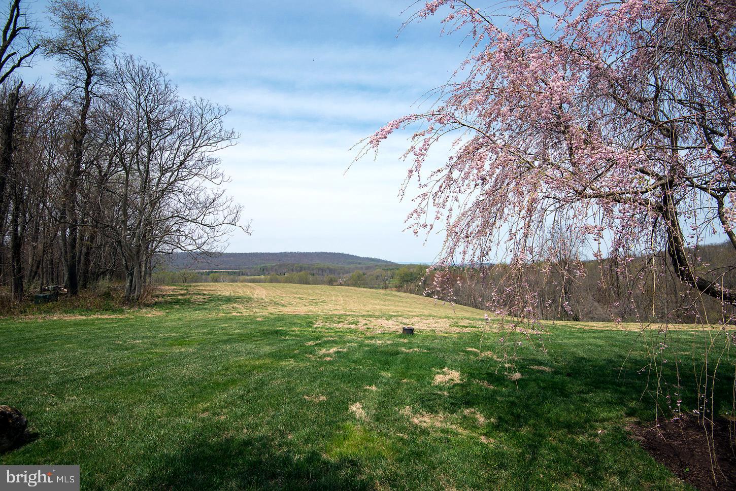 16704 Thurston Road Dickerson, MD 20842 - Photo 71 of 101 a view of an outdoor space and yard