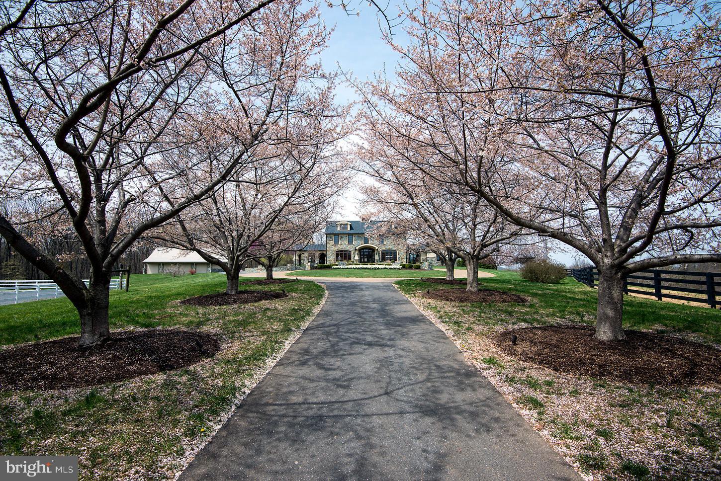 16704 Thurston Road Dickerson, MD 20842 - Photo 96 of 101