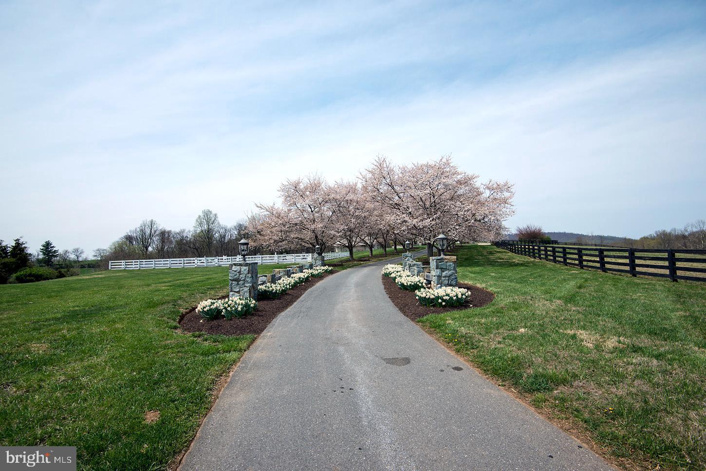 16704 Thurston Road Dickerson, MD 20842 - Photo 98 of 101 a view of a garden with an outdoor space