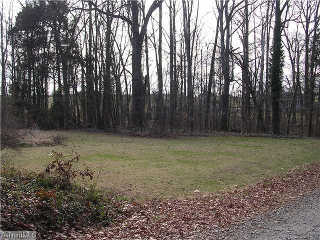 528 Holyoke Road Pleasant Garden, NC 27313 - Photo 16 of 16 Land.