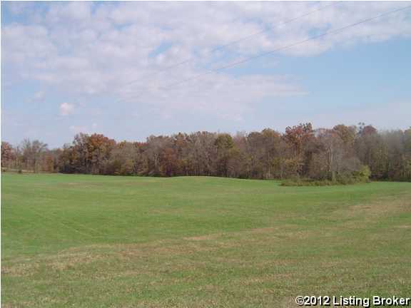 0 Swamp Hollow Road Canmer, KY 42722 - Photo 11 of 15 Additional Photo
