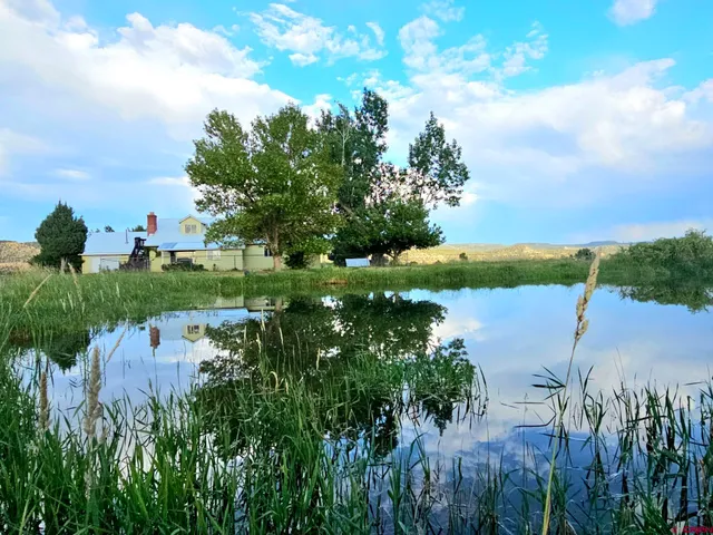 a view of an ocean and beach