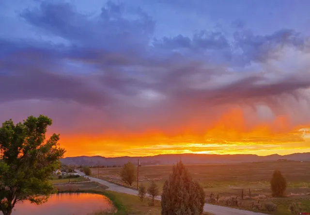 a view of an ocean and beach