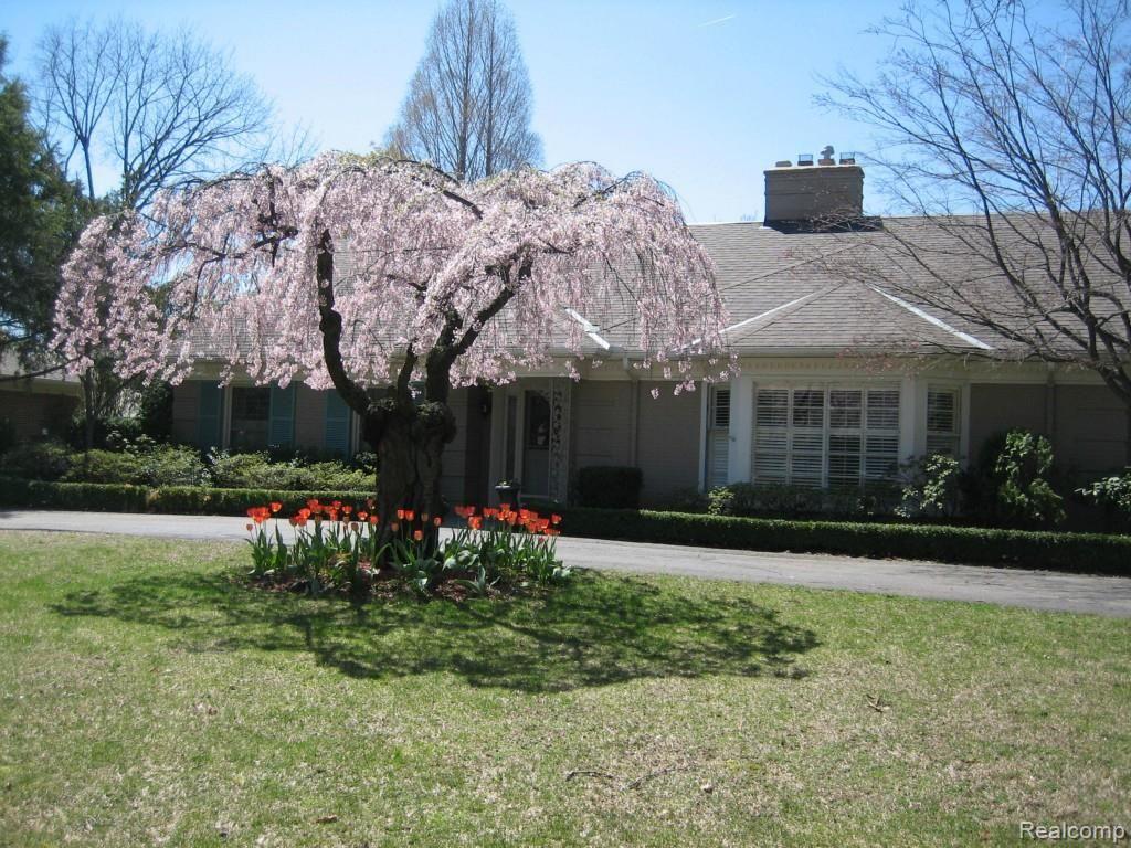75 Clairview