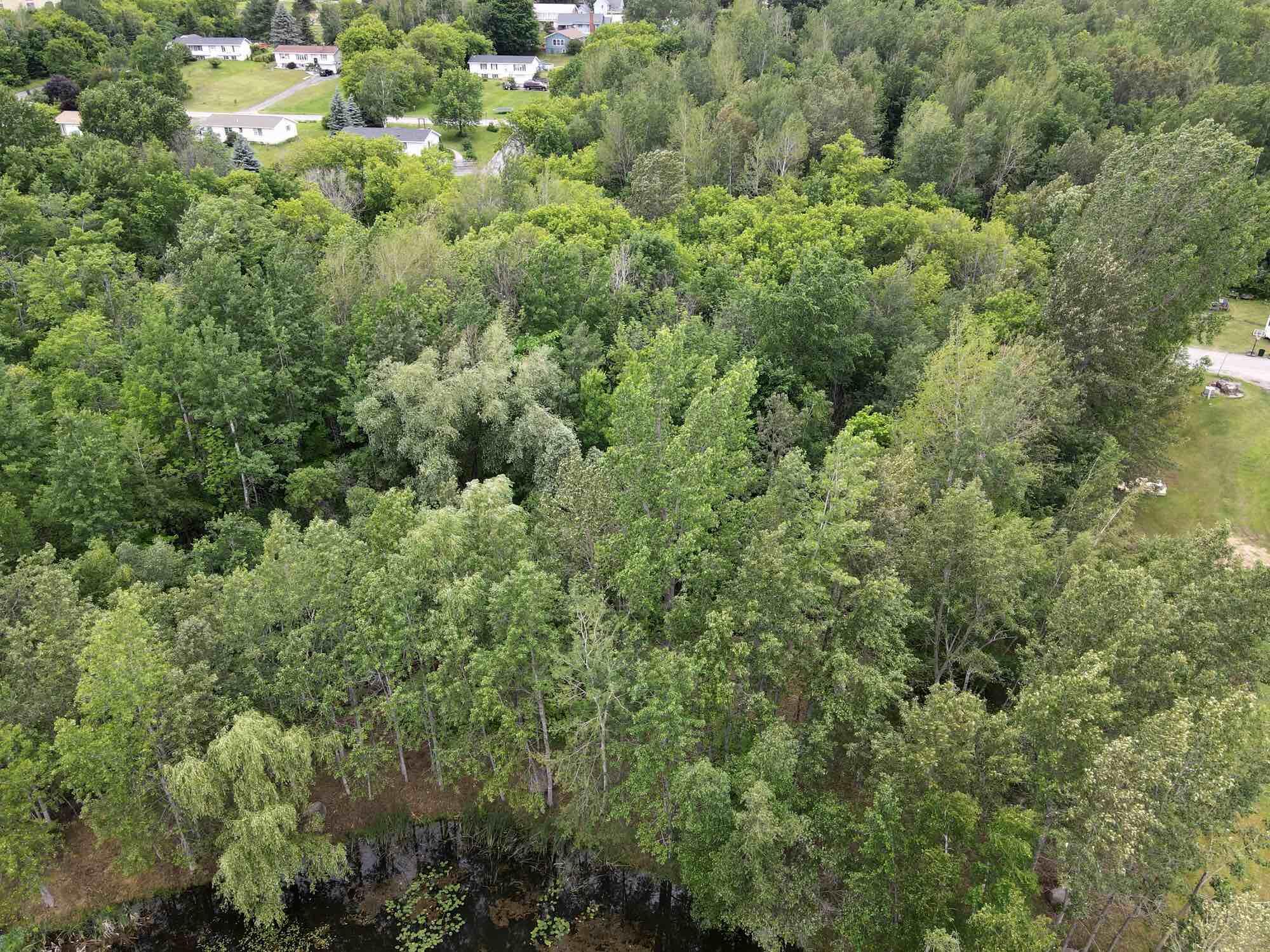 13 Clark Street Dannemora, NY 12929 - Photo 1 of 4