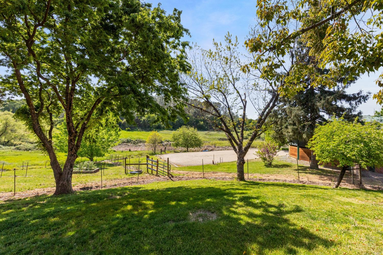 13587 Garden Bar Road Grass Valley, CA 95949 - Photo 19 of 70 a view of yard with green space and trees