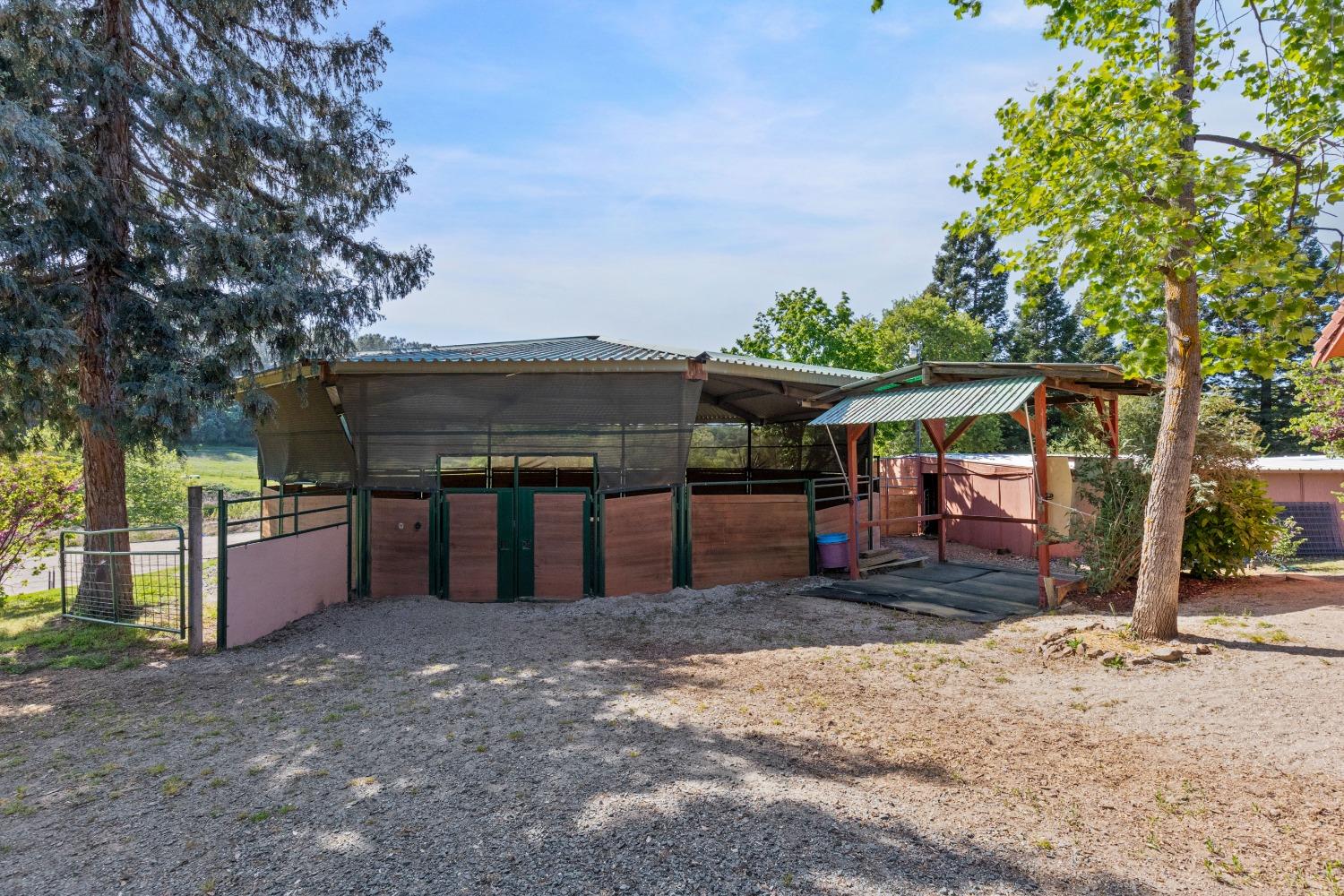 13587 Garden Bar Road Grass Valley, CA 95949 - Photo 21 of 70 a view of a house with a backyard and a tree