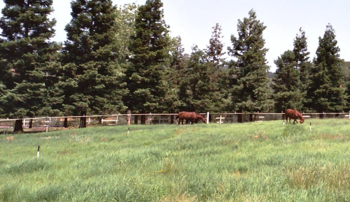 13587 Garden Bar Road Grass Valley, CA 95949 - Photo 53 of 70 a view of outdoor space and yard
