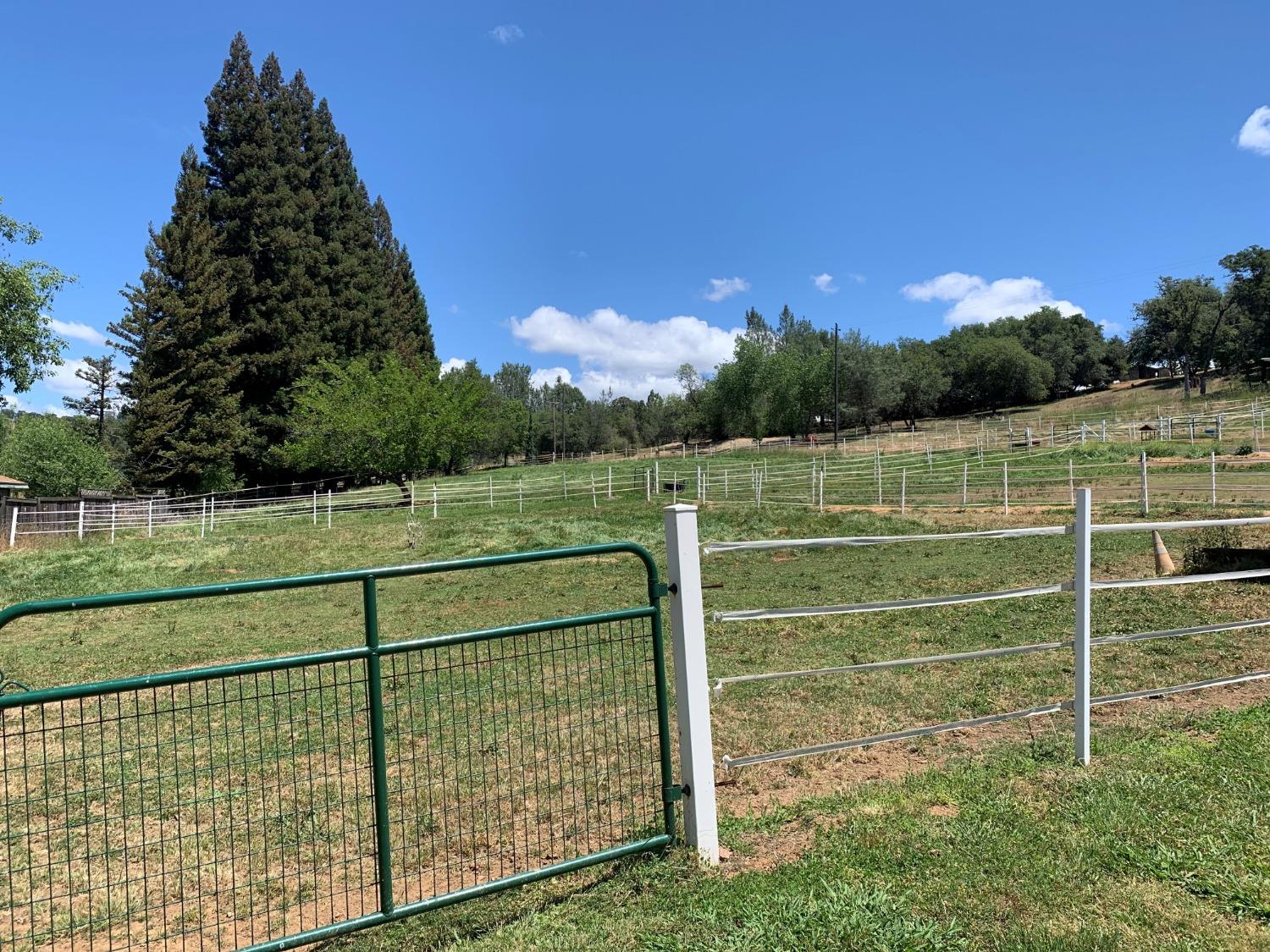 13587 Garden Bar Road Grass Valley, CA 95949 - Photo 65 of 70 a view of a tennis court