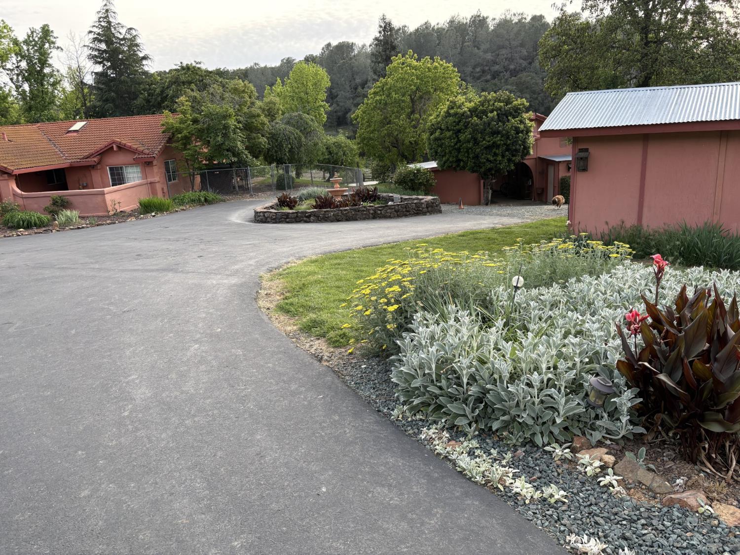 13587 Garden Bar Road Grass Valley, CA 95949 - Photo 67 of 70 a view of a backyard with plants and a garden