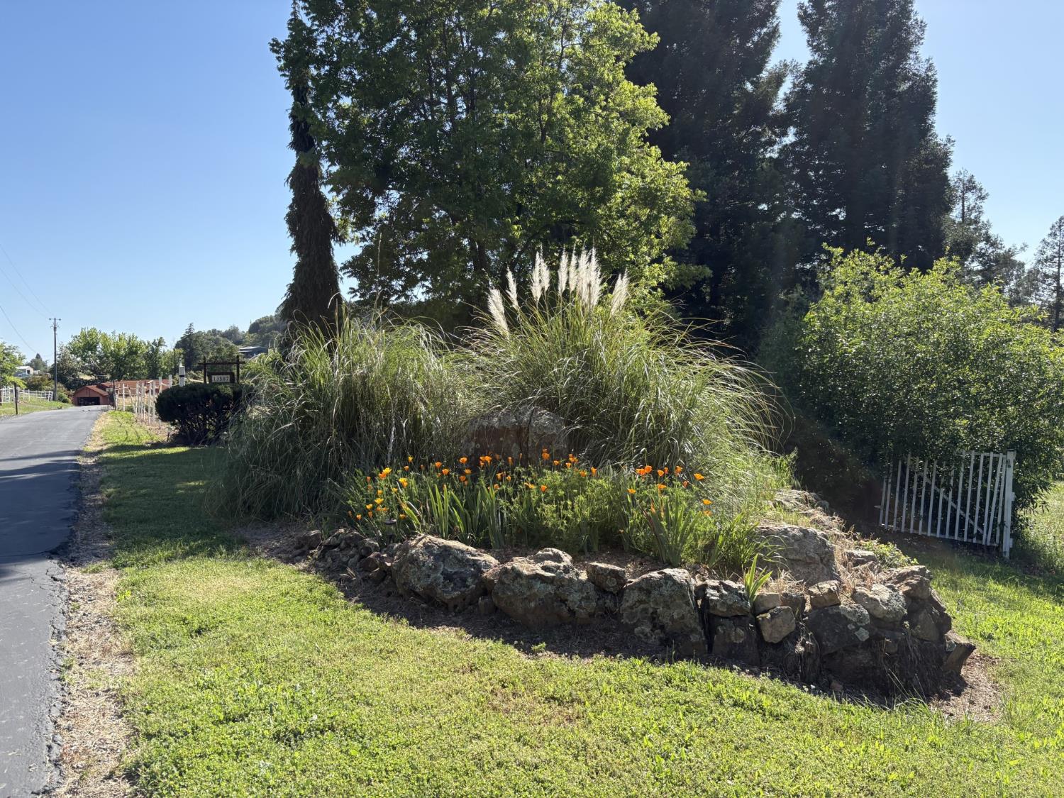 13587 Garden Bar Road Grass Valley, CA 95949 - Photo 68 of 70 a view of backyard with green space