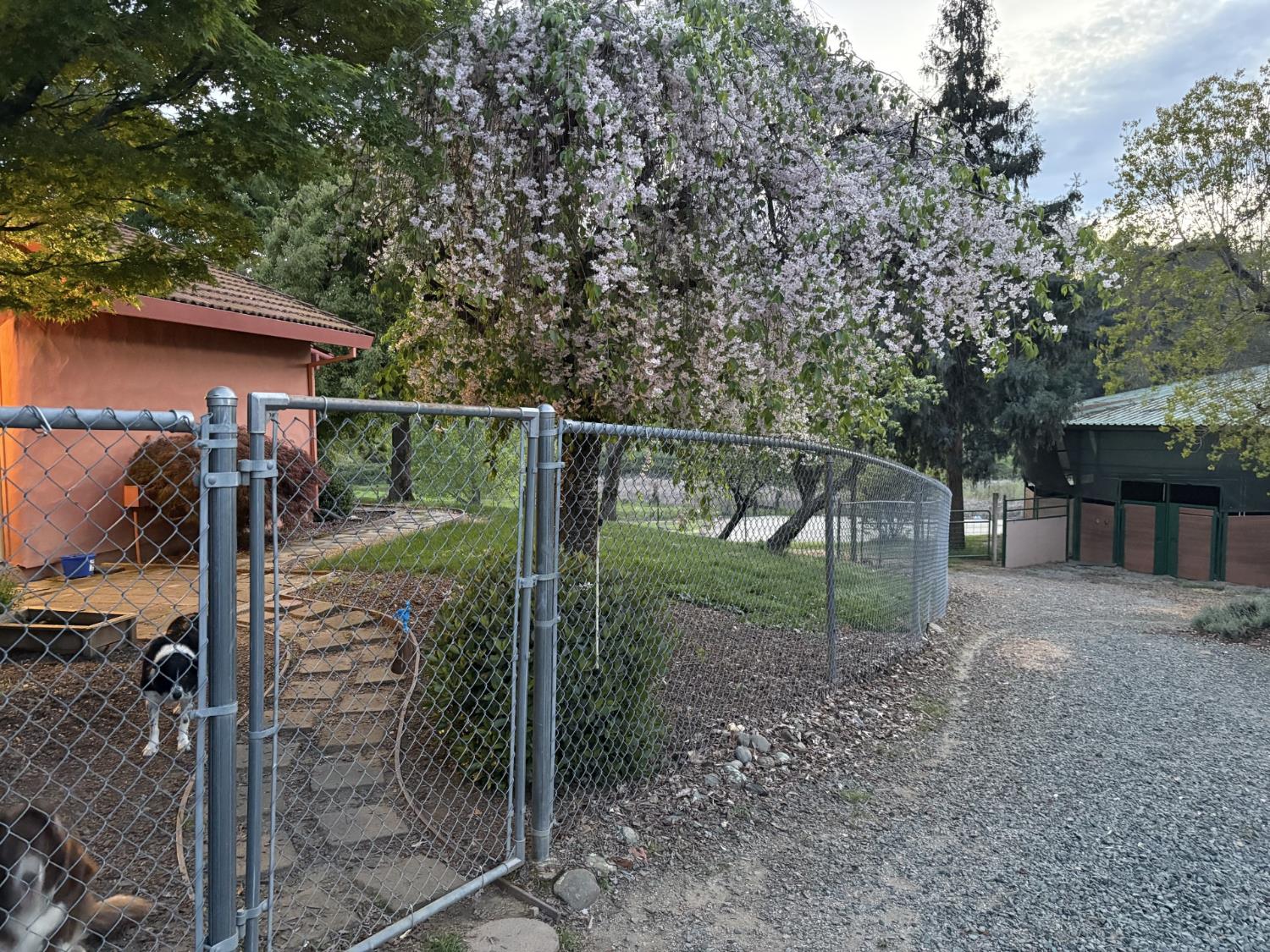 13587 Garden Bar Road Grass Valley, CA 95949 - Photo 69 of 70