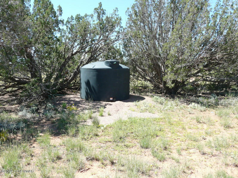 1956 Hutch Road, Unit 1 Heber, AZ 85928 - Photo 2 of 7